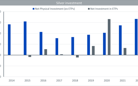 Diverging Paths: Retail and Institutional Investors’ Contrasting Stances on Silver in 2022