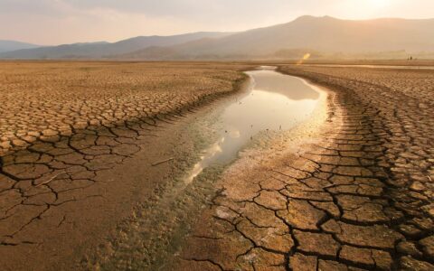 Riding the Drought Wave: How Climate Variability Shapes Winners and Losers in U.S. Agriculture