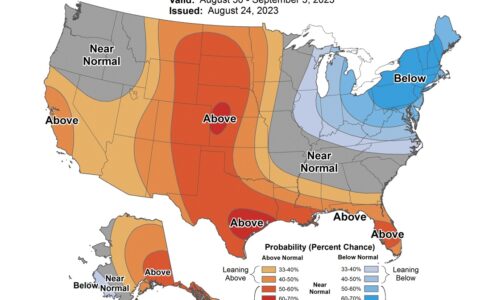 Soybean Crop Crisis: Battling Heatwaves, Dry Spells, and Uncertain Yields