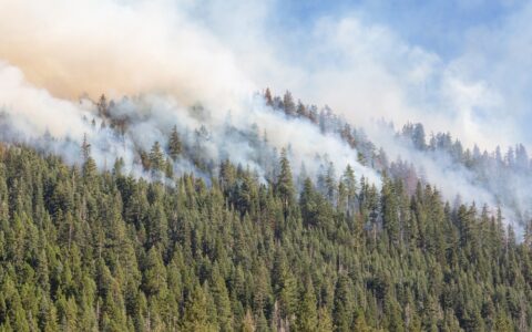 The Essential Guide to Wildfire Damage Attorneys: Spotlight on California Wildfire Recovery Attorneys