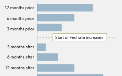 Navigating the Future: Decoding the Potential Trajectory of Interest Rates